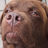 Brynjar Thor's avatar