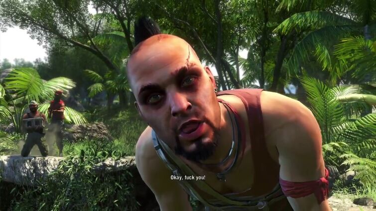 The definition of insanity - Far Cry 3 Remastered