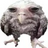 Dominik.hrScaler's avatar