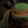 TMNT00
