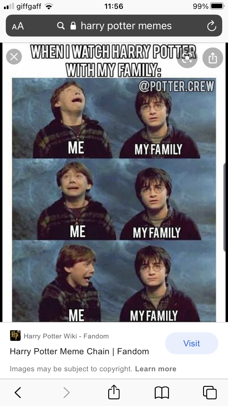 Memes Harry Potter (@memesharrypoter) / X