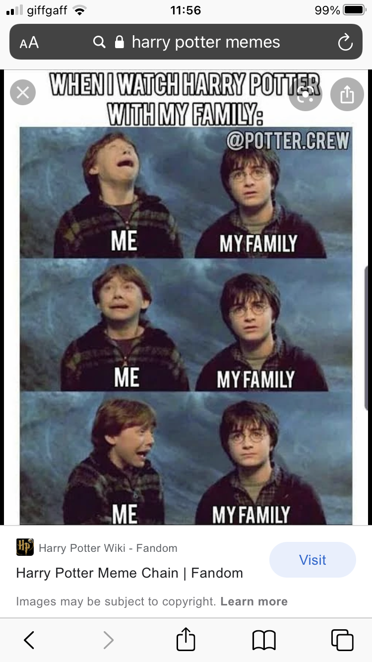 Memes About ''Harry Potter'' Movies