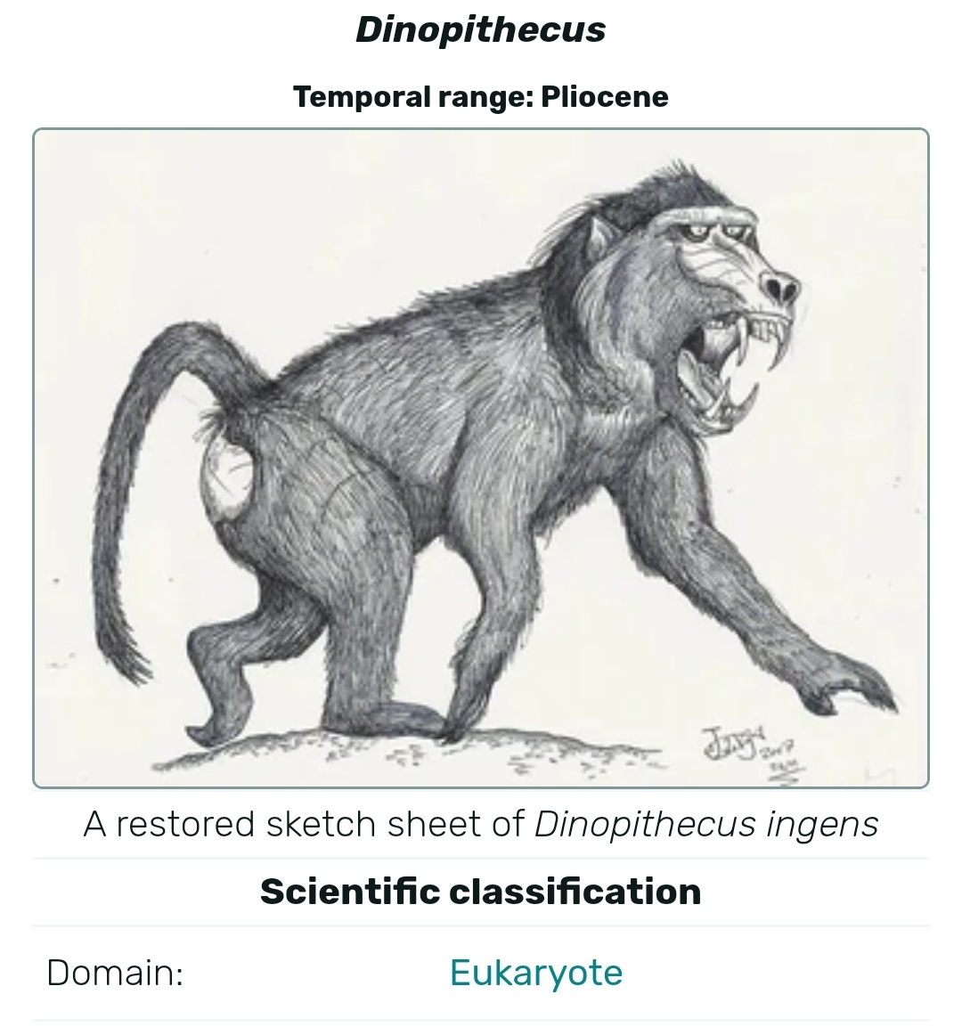 Theropithecus Oswaldi