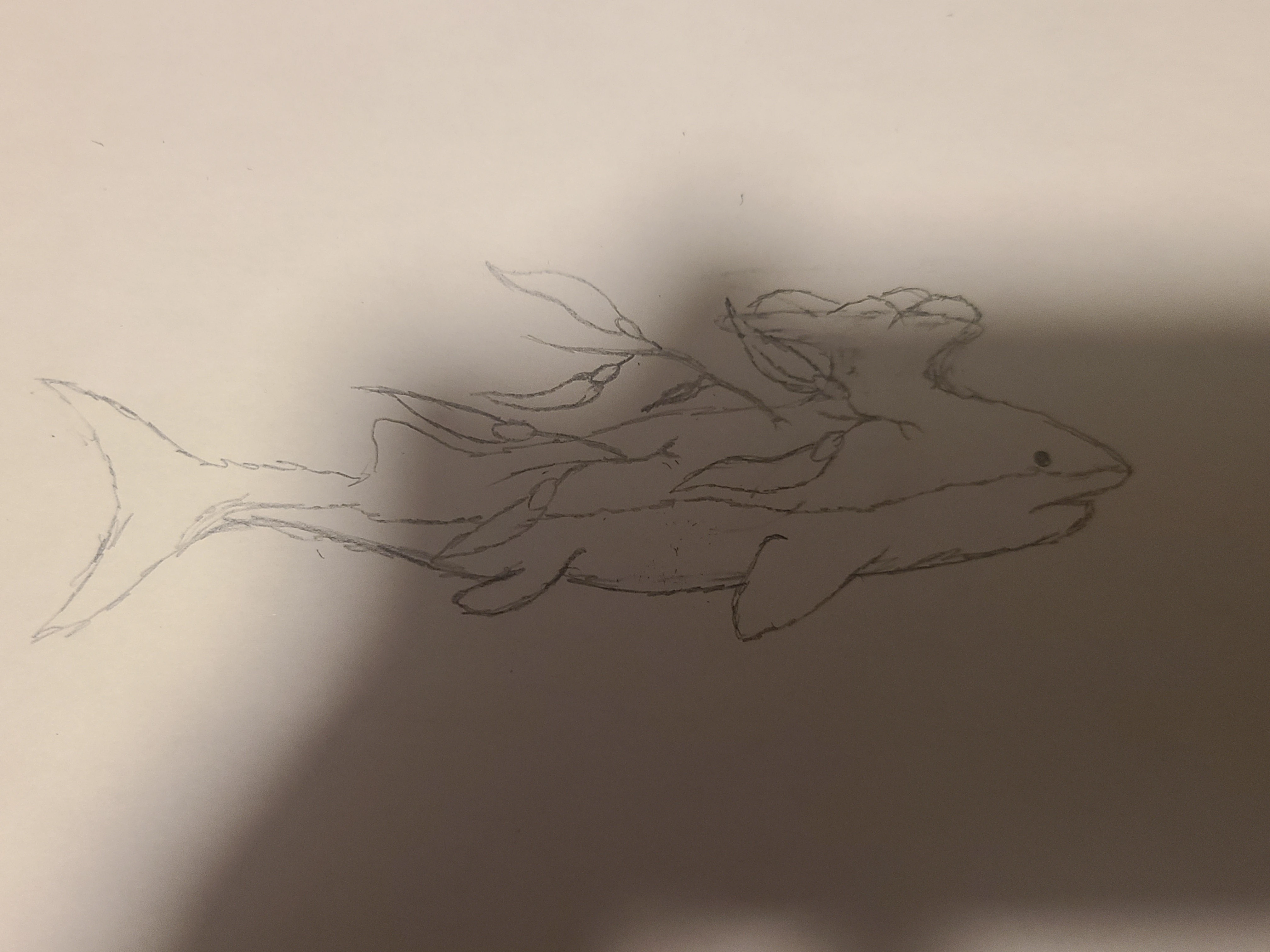 Very basic new creature idea | Fandom