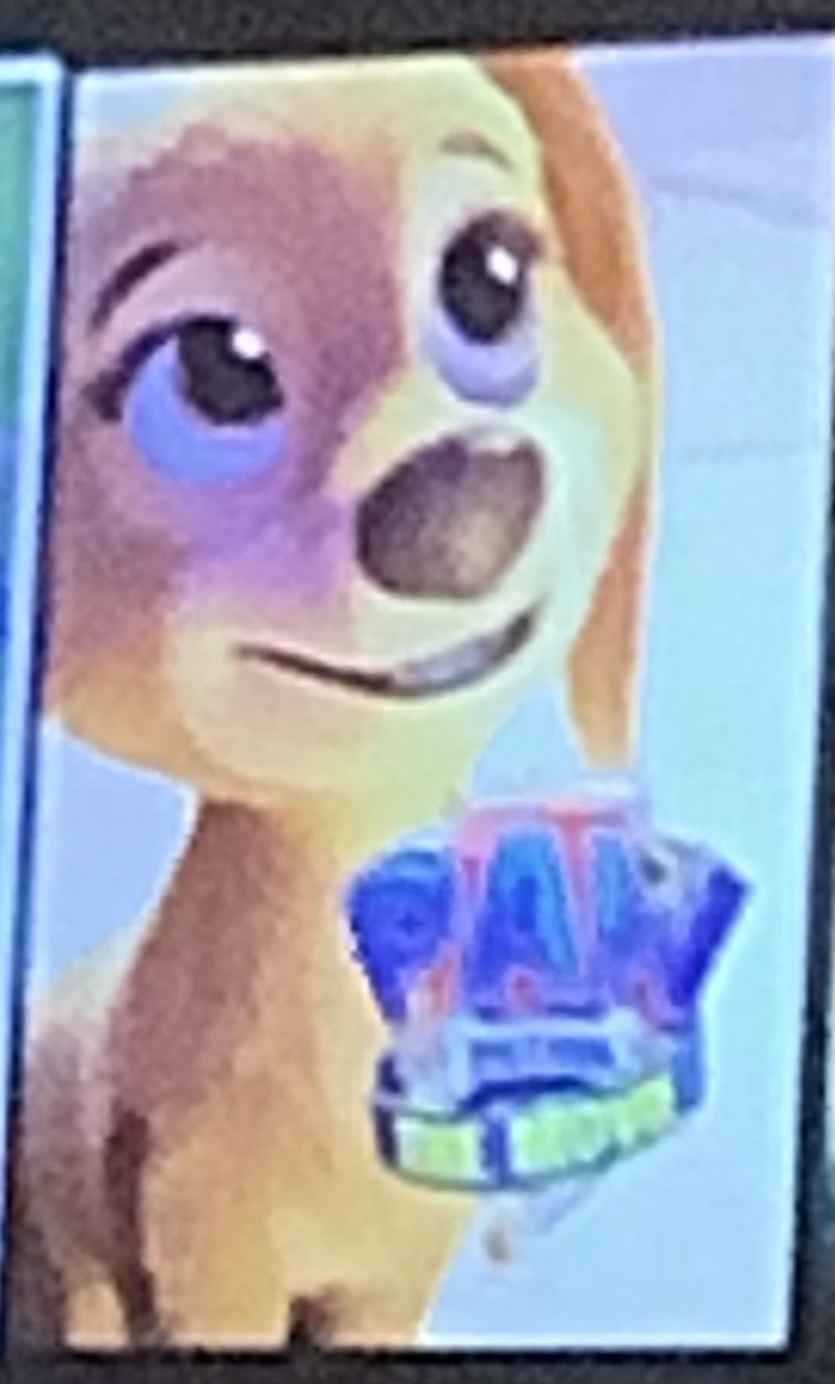 Paw patrol the movie on Netflix Fandom