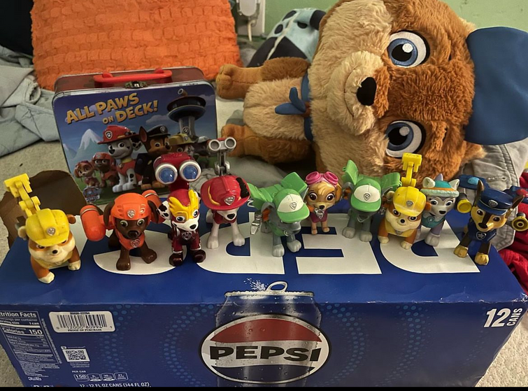 Paw patrol 2024 funko pop