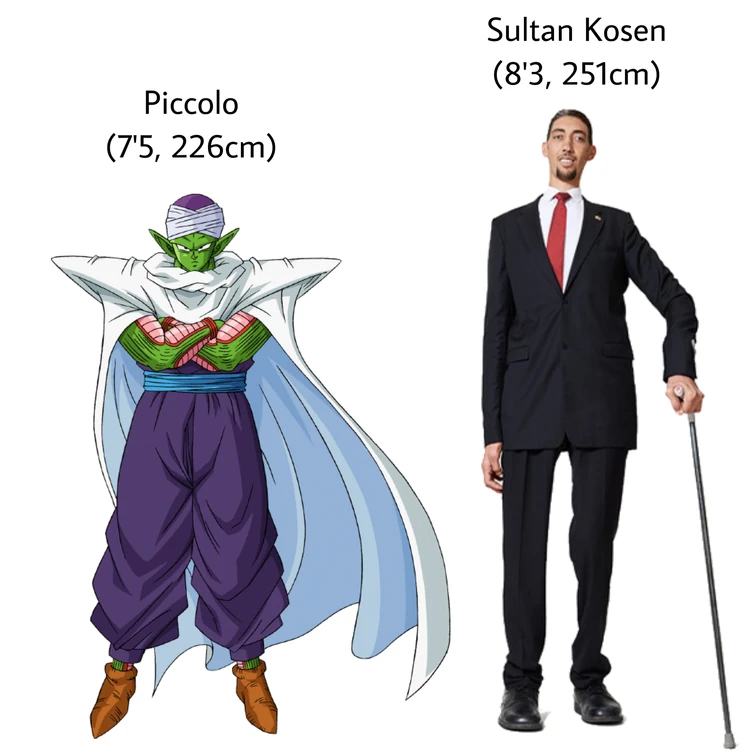 Piccolo vs Current World’s Tallest Man Sultan Kosen Height Comparison
