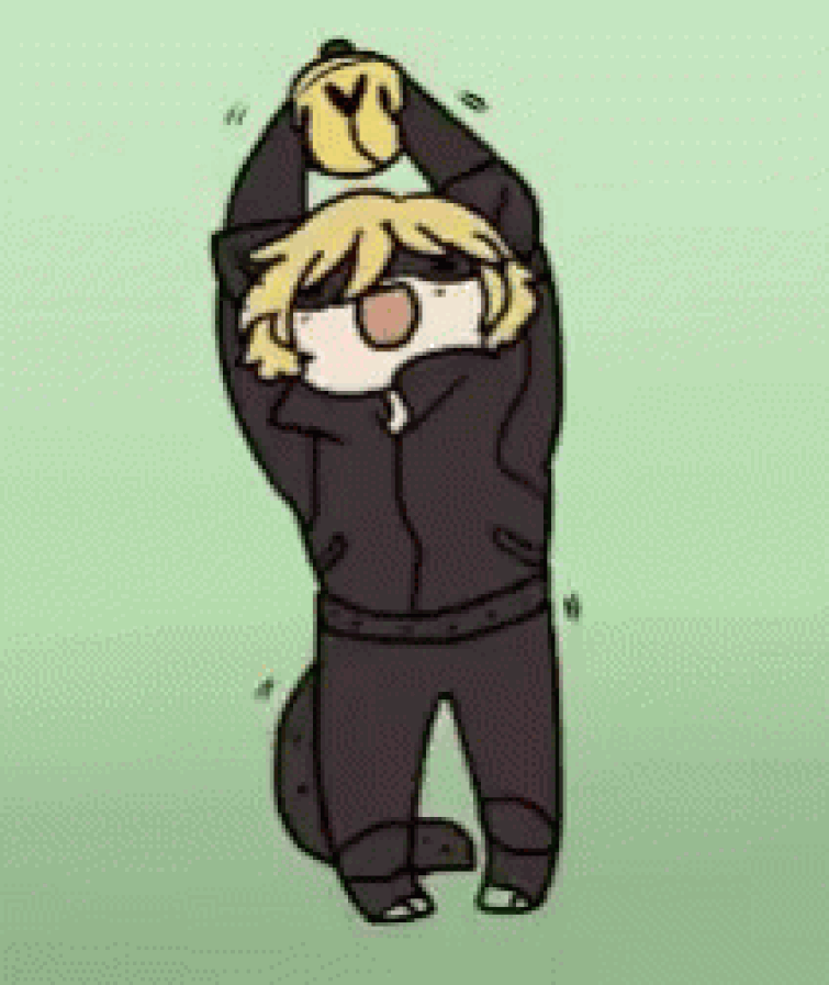 This Is What Cat Noir Felt When He Kissed Ladybug On The Cheek Fandom