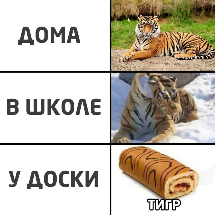 Мем как рычит тигр сейчас узнаете девочка