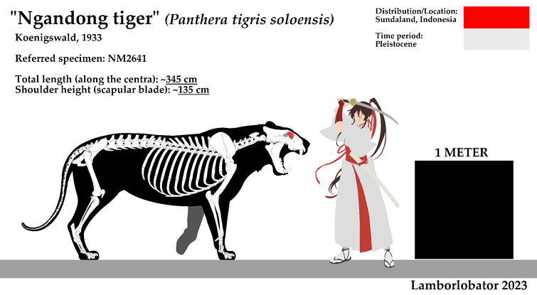 Ngandong Tiger, Dinopedia