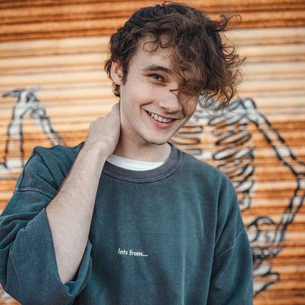 i want a haircut like wilbur soot | Fandom