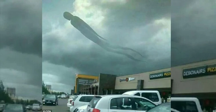 I really wonder. Is this a Cryptid? | Fandom