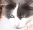 M4ry0801's avatar