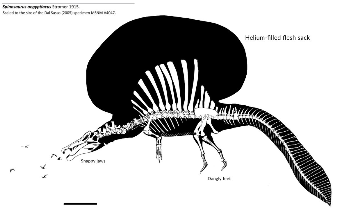 ACCURATE SPINOSAURUS RECONSTRUCTION Fandom