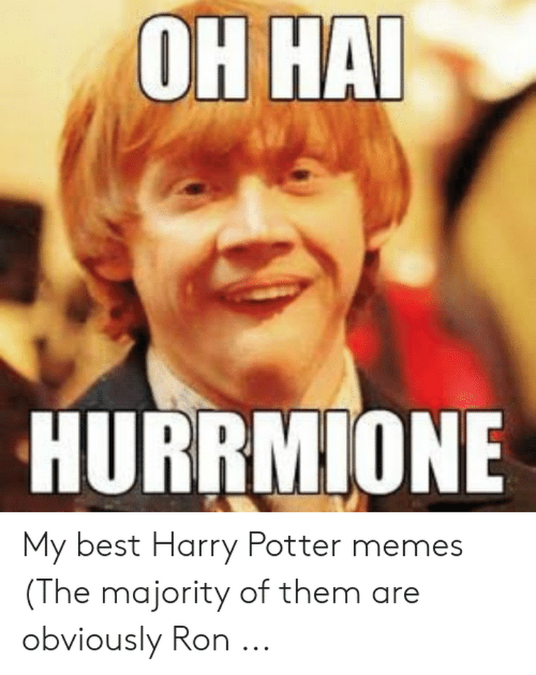 Harry Potter memes are the worst of them all. : r/terriblefandommemes