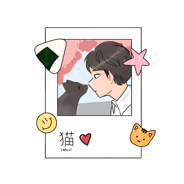 Fandom Image