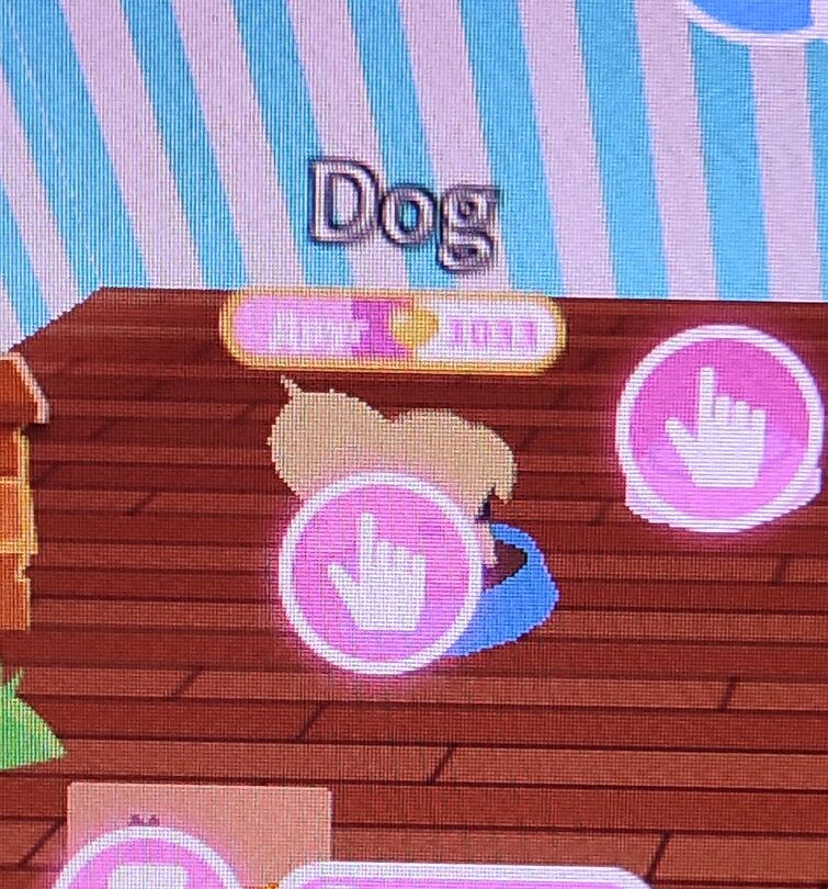 i-think-my-dog-is-getting-smarter-fandom