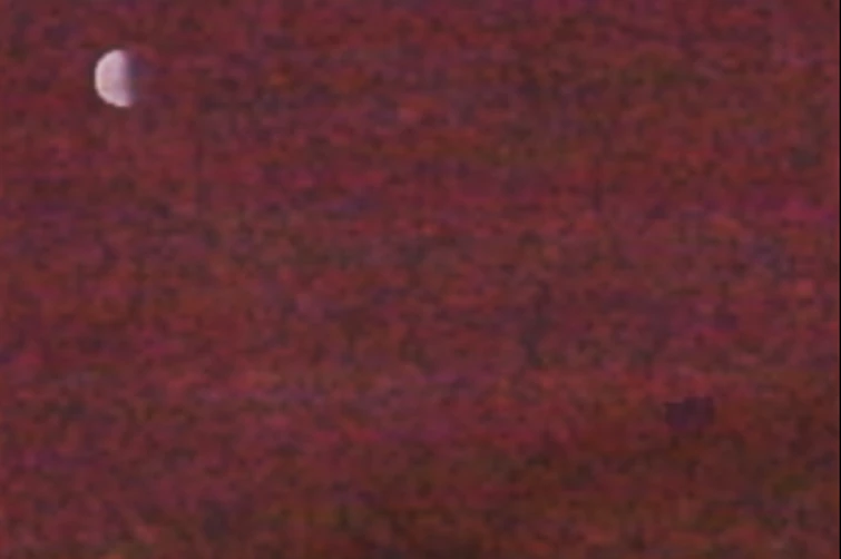 im sending a deletion request for beginners glagglepedia to the zendesk