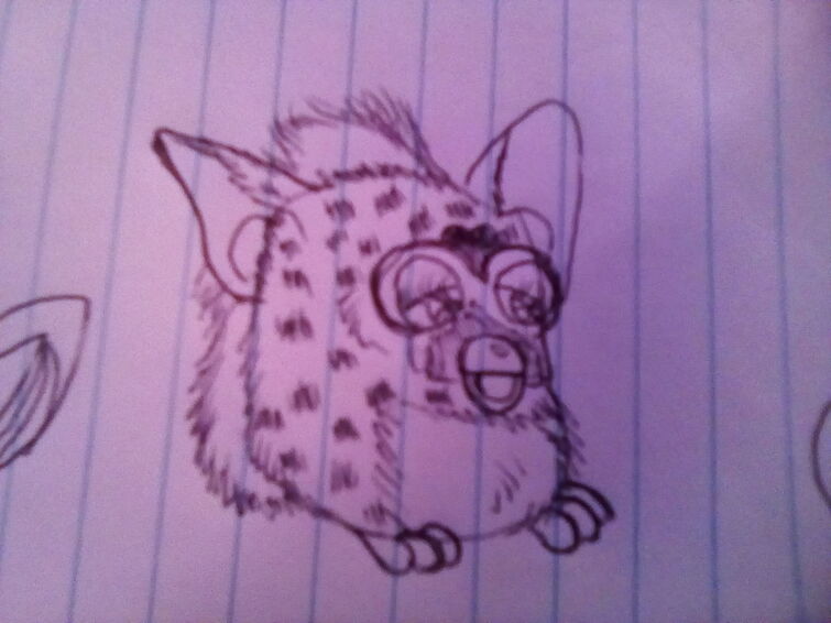 Fandom Image