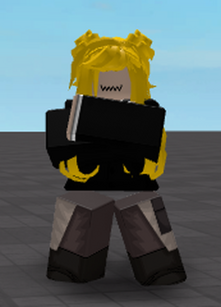 i made a r63 roblox skin 