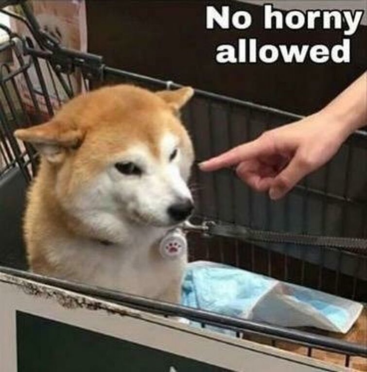755