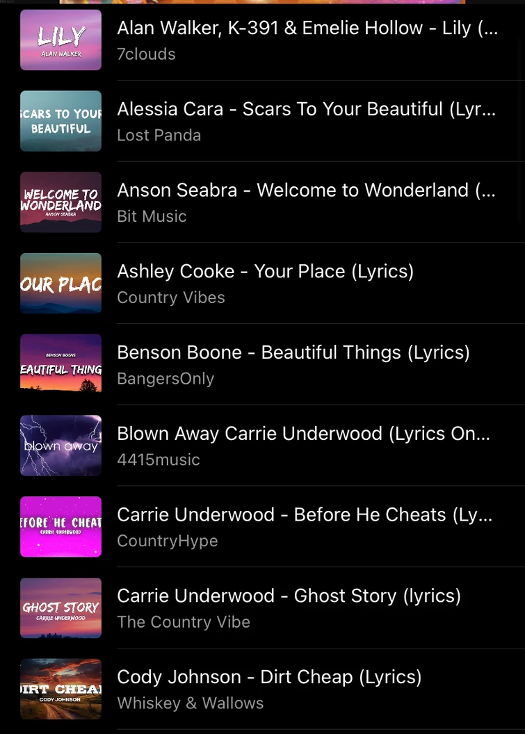 Describe me based off my playlist Fandom