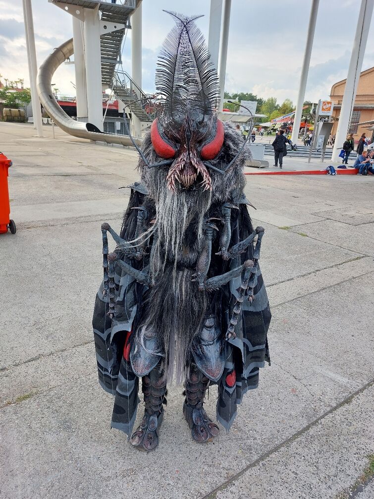 Fandom Image