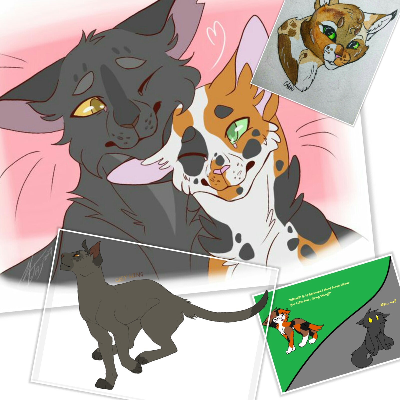 черепаший хвостик воители. коты воители черипаший хвост. черепаший хвостик воители. черепаший хвостик воители. коты воители пестрололистая.