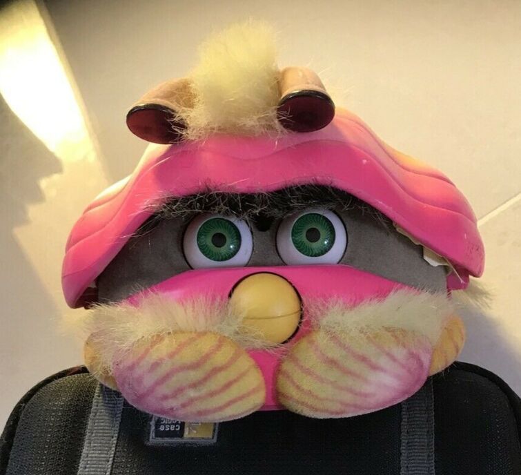 Fandom Image
