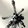 Jomogunpla