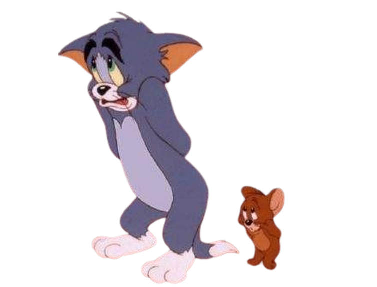 Fandom Image