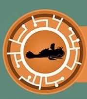 New creature power disc reference pics ^^ | Fandom