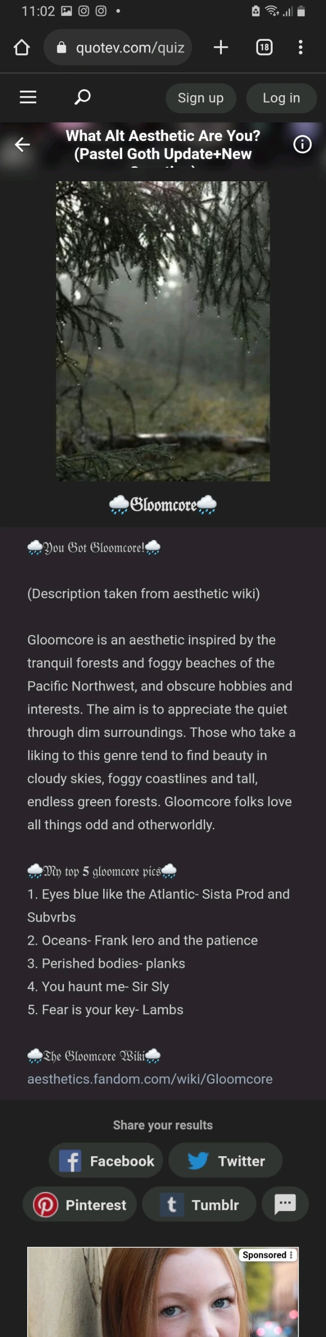 Aesthetics Quiz | Fandom