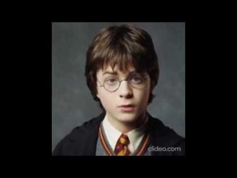 Harry Potter Sings Dame Da Ne (Baka Mitai)