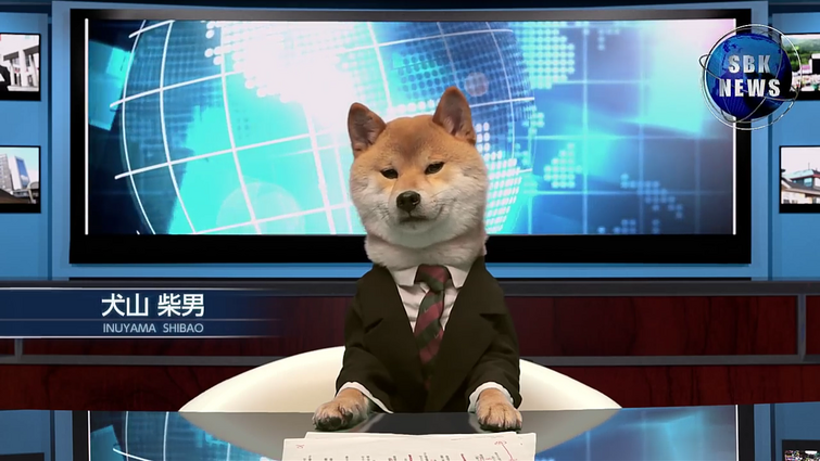 Shiba Inu  The Fandom Post