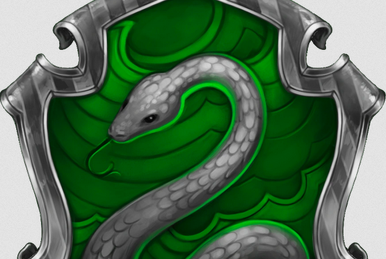 Slytherin Deluxe Tie and Pins