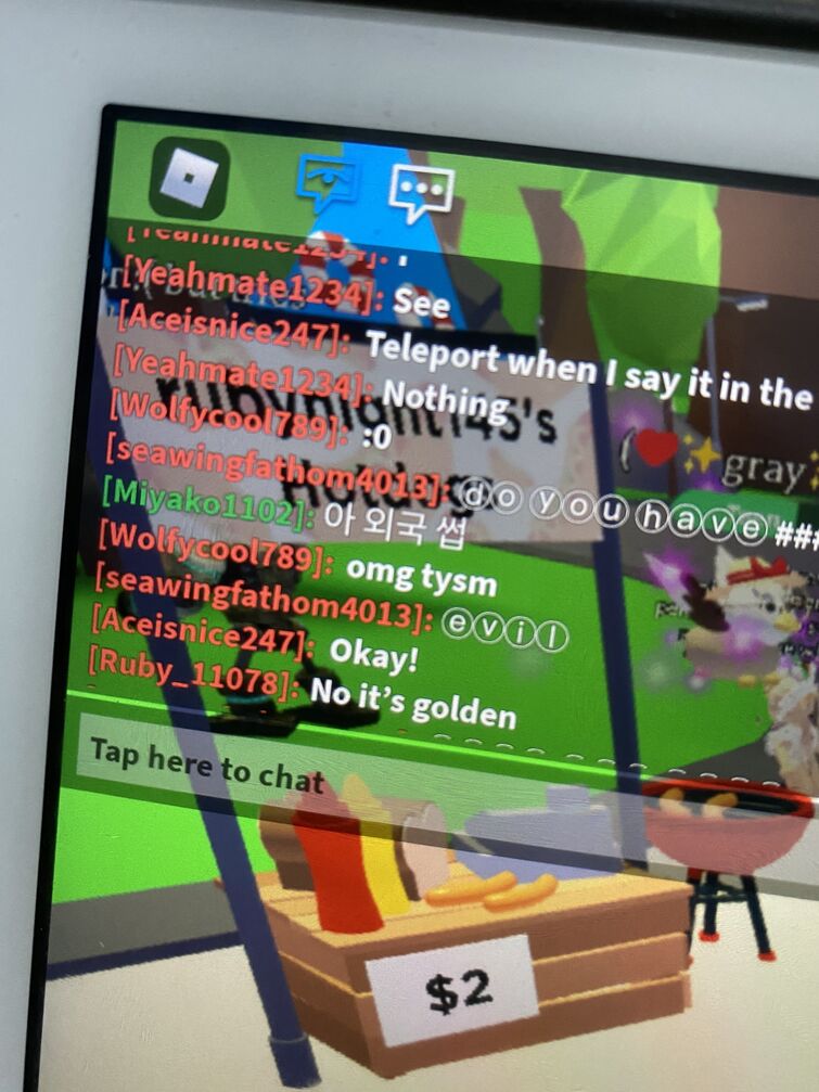 Name Colors In Game Fandom - roblox how to change name color in chat