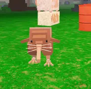 Pet kiwi-from.commentsection.png.webp (81 KB) A tamed Kiwi in a player's base.