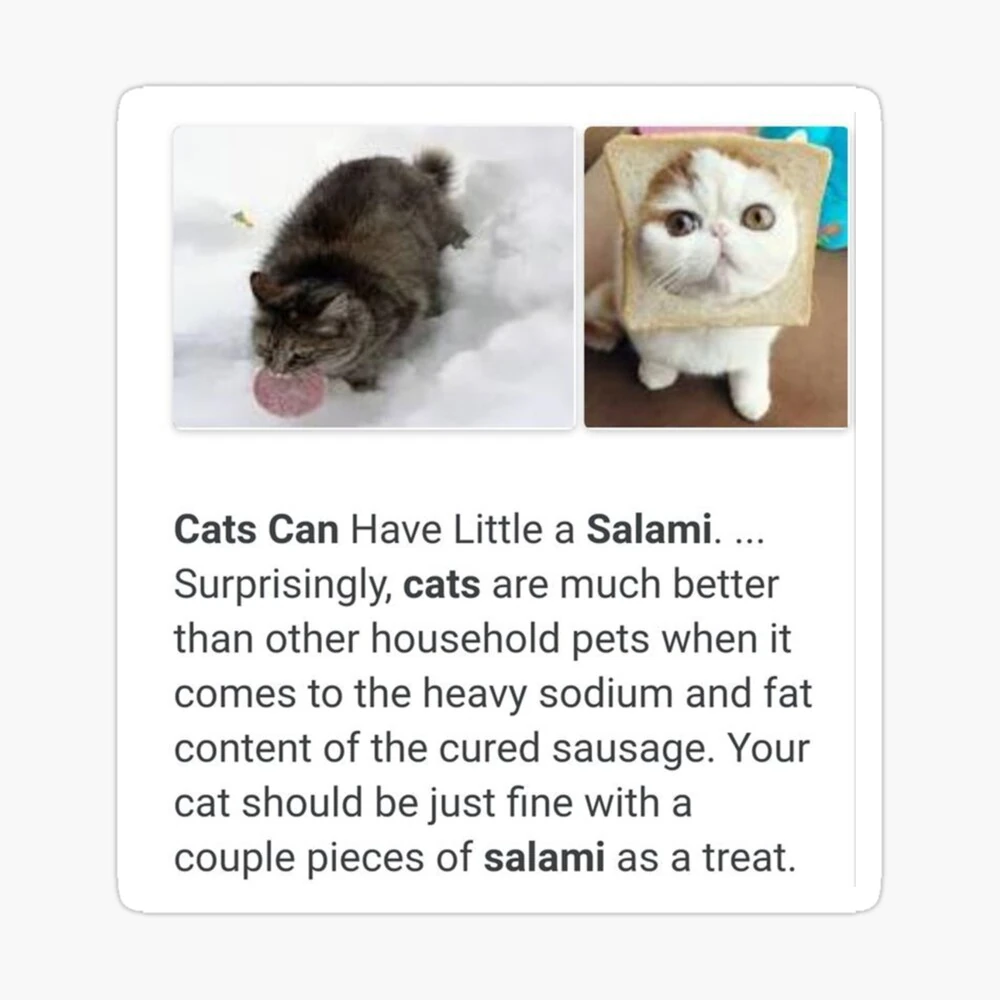 does anyone know why tammy left Fandom