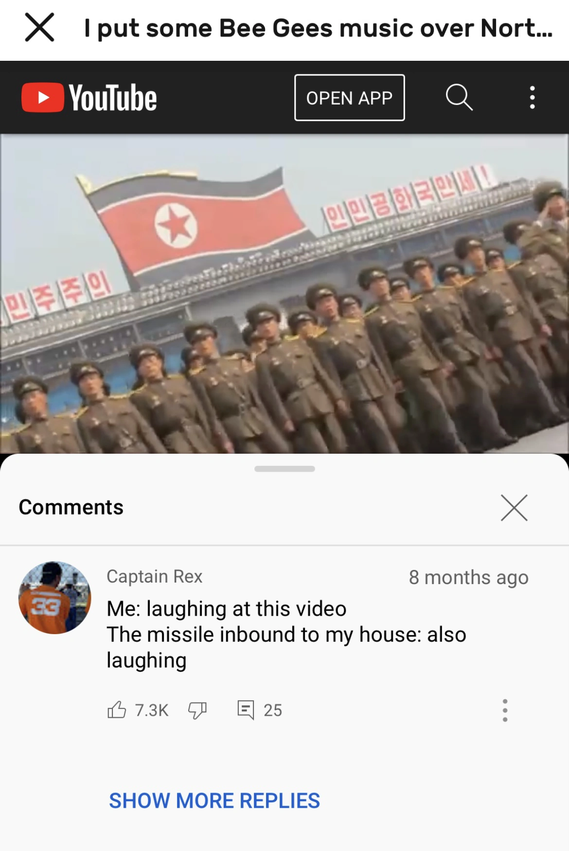 YouTube Comment #2 | Fandom