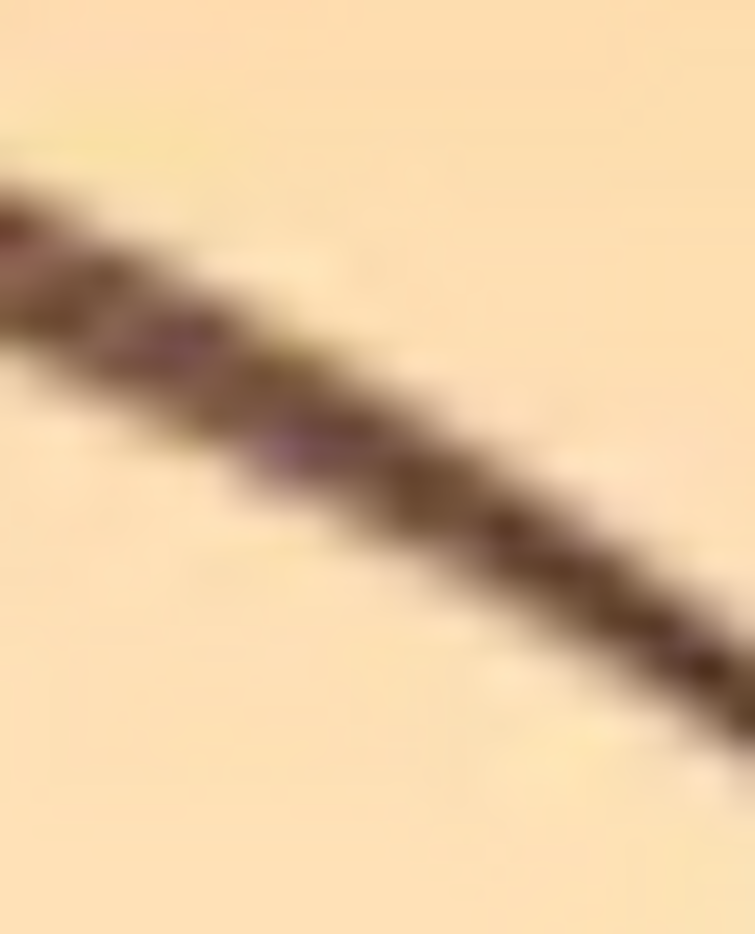 guess the creature Fandom