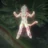 The God of the Super Saiyan's avatar