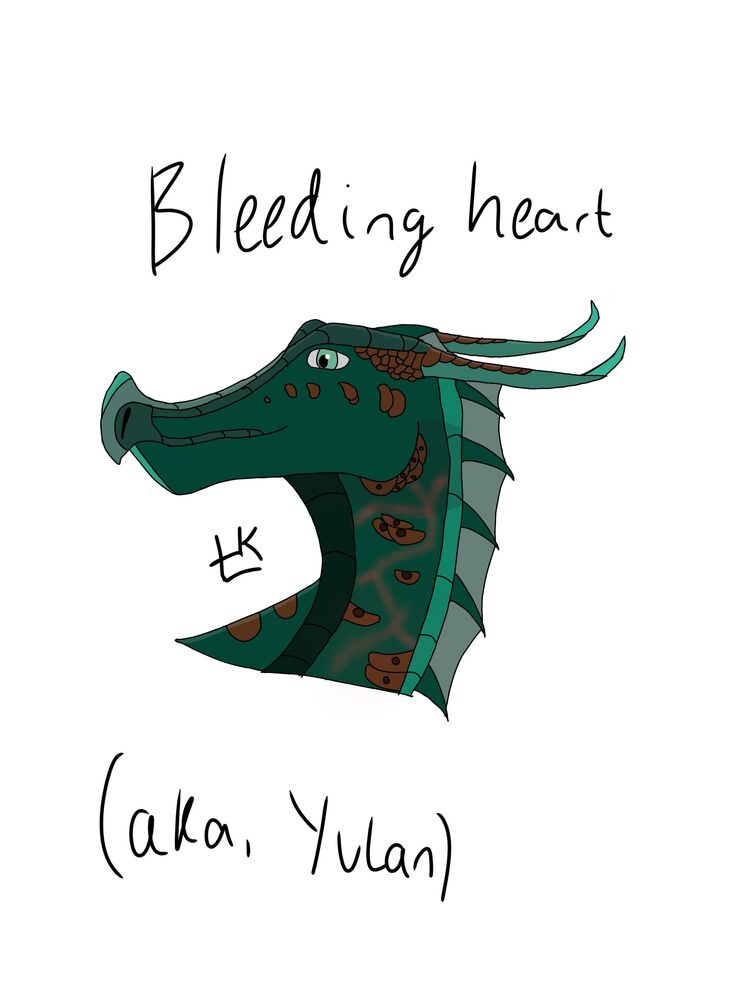 bleeding heart with wings drawings
