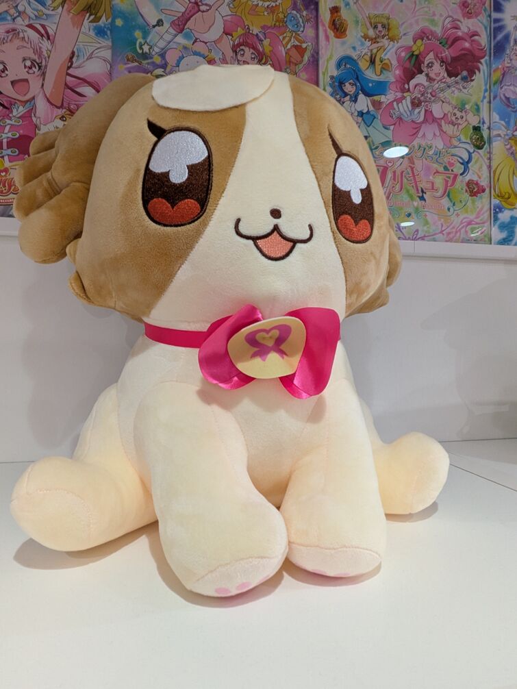Fandom Image