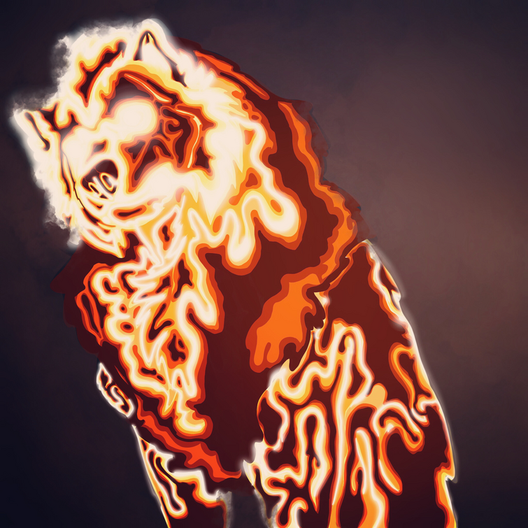 Fandom Image