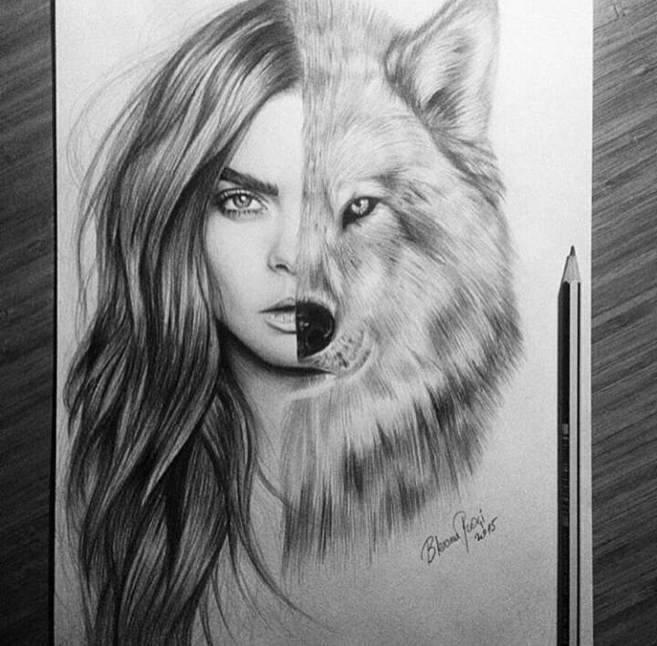 half girl half fox drawing