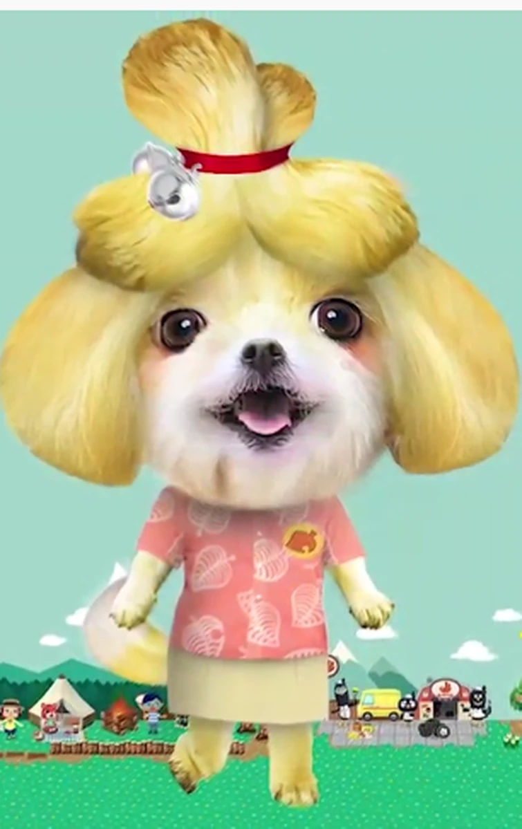 Animal Crossing Live Action Movie Designs Fandom