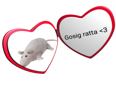 Gossig ratta sale