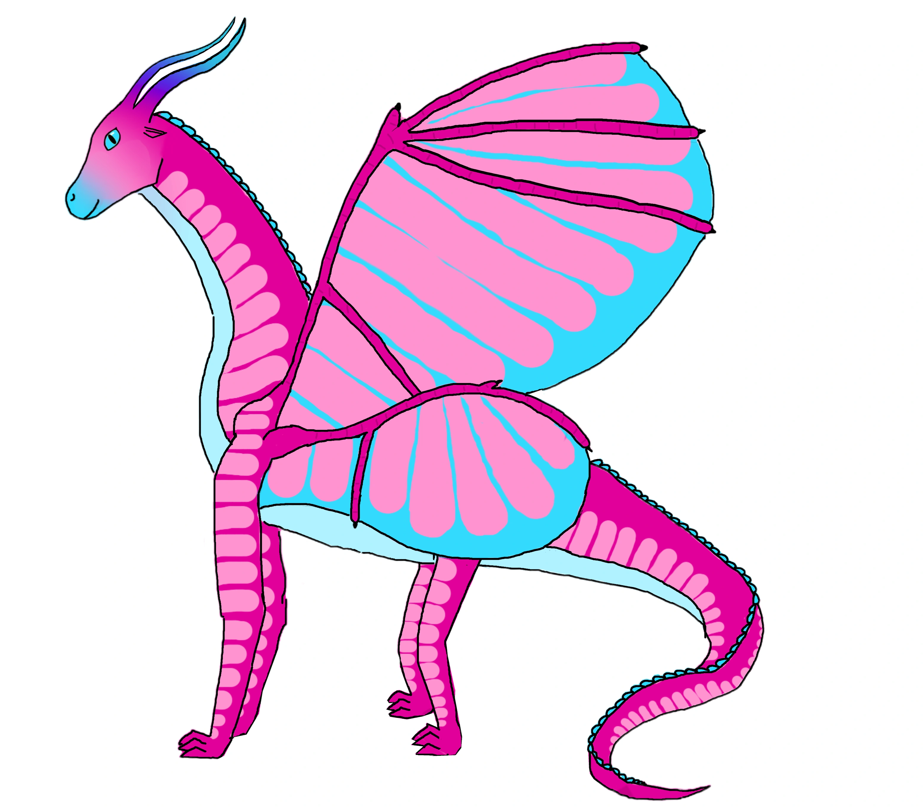 Wings of Fire art Fandom