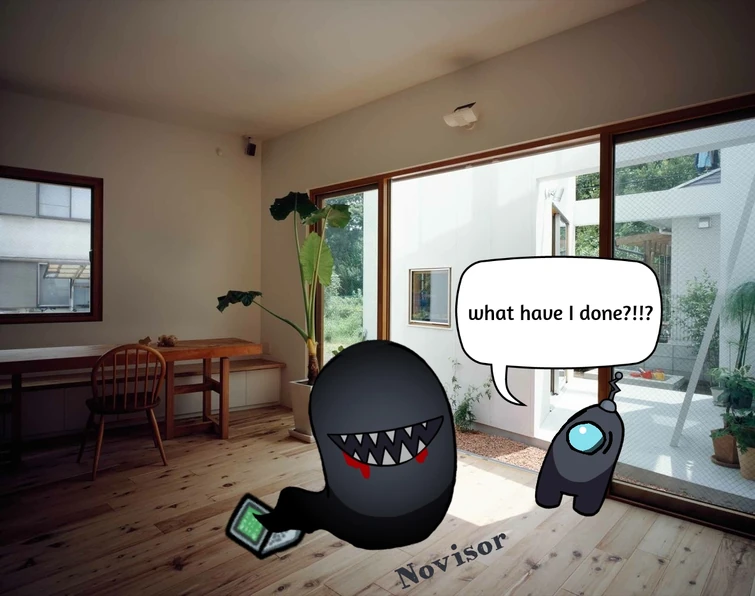 The Origin of Yesvisor/Visor Fandom